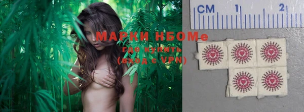 прущие грибы Белокуриха
