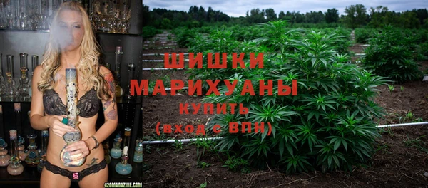 прущие грибы Белокуриха