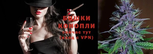 прущие грибы Белокуриха
