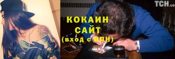 шишки Беломорск