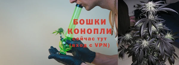 шишки Беломорск