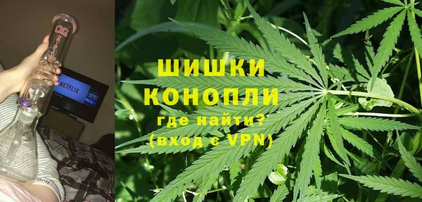 шишки Беломорск