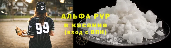 прущие грибы Белокуриха