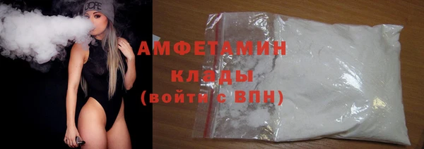 прущие грибы Белокуриха