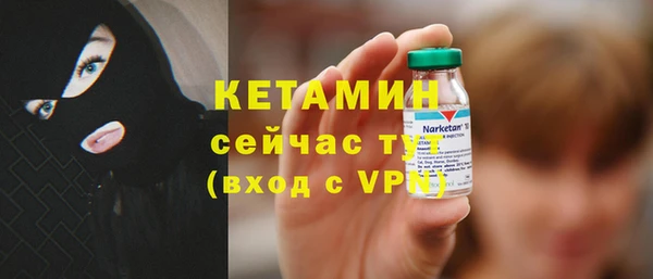 шишки Беломорск