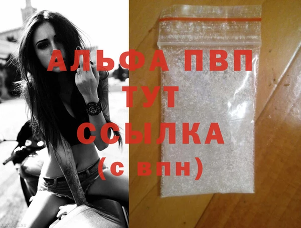 прущие грибы Белокуриха