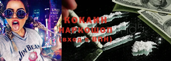 шишки Беломорск