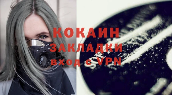 прущие грибы Белокуриха