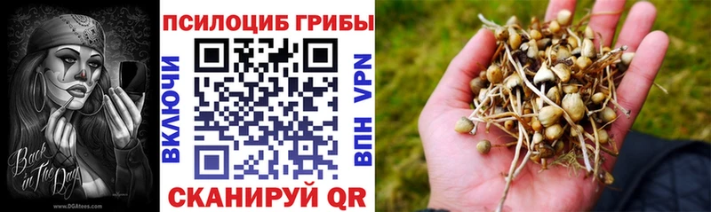 кракен как зайти Котельниково Галлюциногенные грибы мухоморы